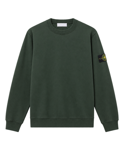 Compass 15 - Crewneck - Forest